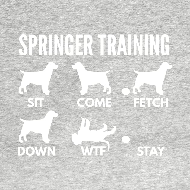 Springer Spaniel Training Springer Dog Tricks by DoggyStyles